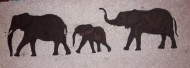 Elephants ivoire